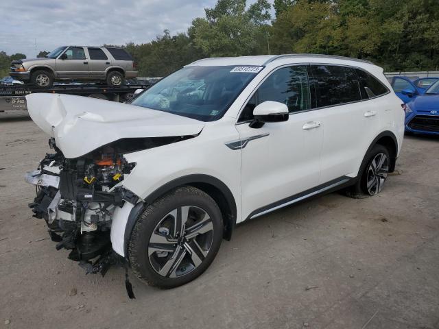 KIA SORENTO 2023 kndrhdlg0p5174101