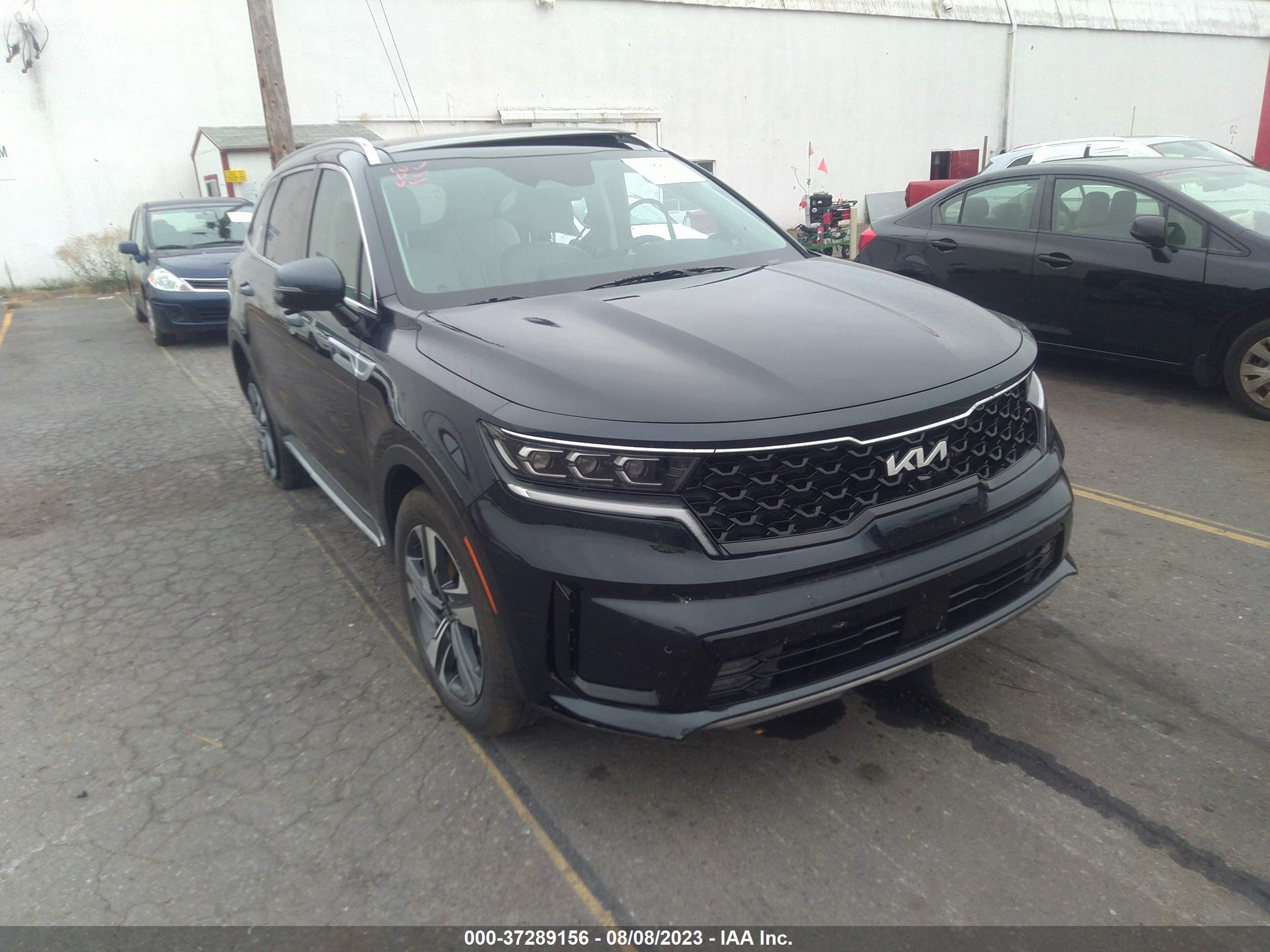 KIA SORENTO 2023 kndrkdlgxp5144993