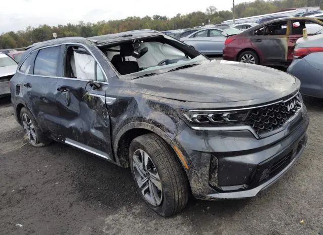 KIA SORENTO 2023 kndrmdlh0p5205772