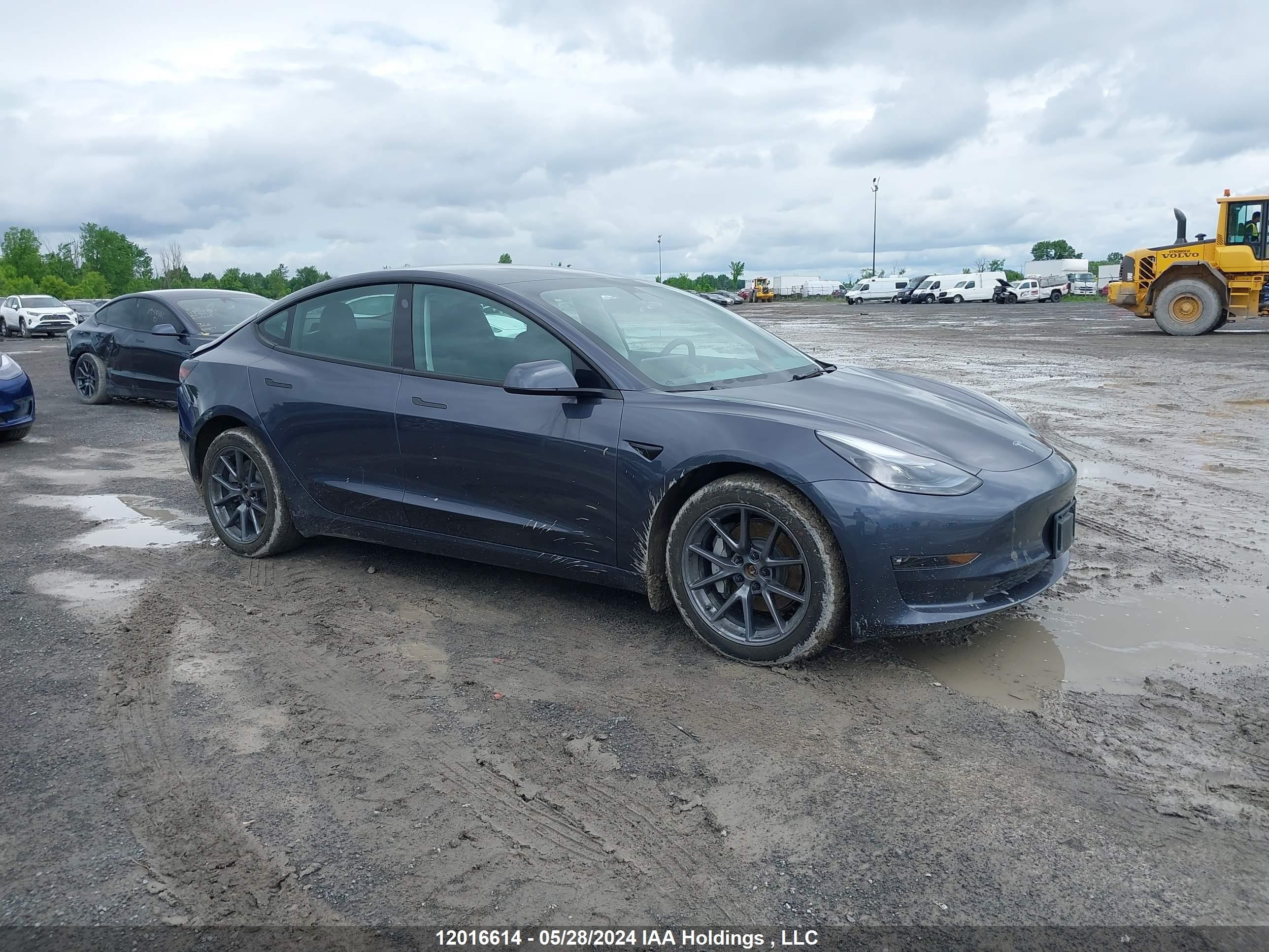 TESLA MODEL 3 2023 lrw3e1eb7pc932734