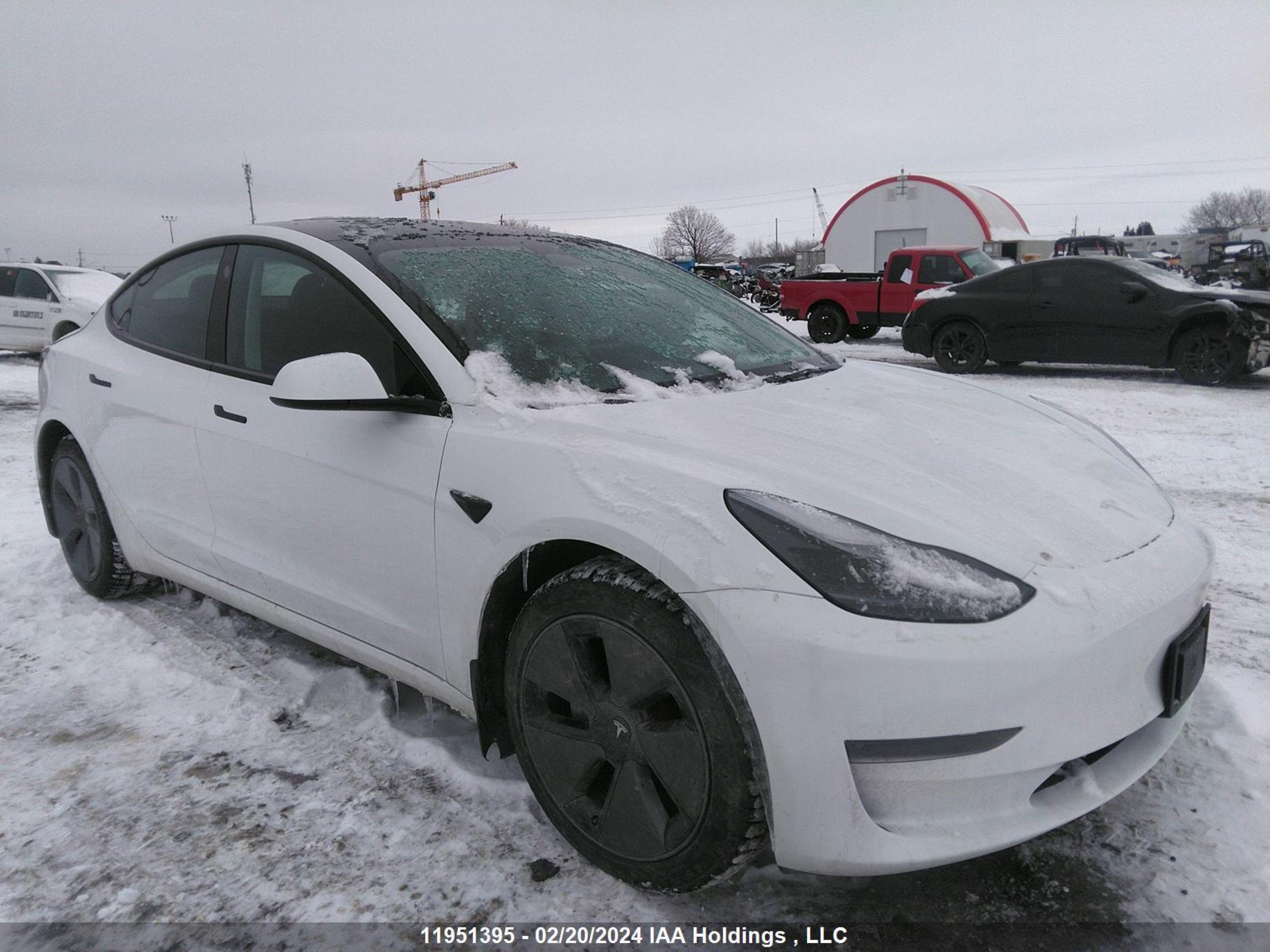 TESLA MODEL 3 2023 lrw3e1fa1pc843618