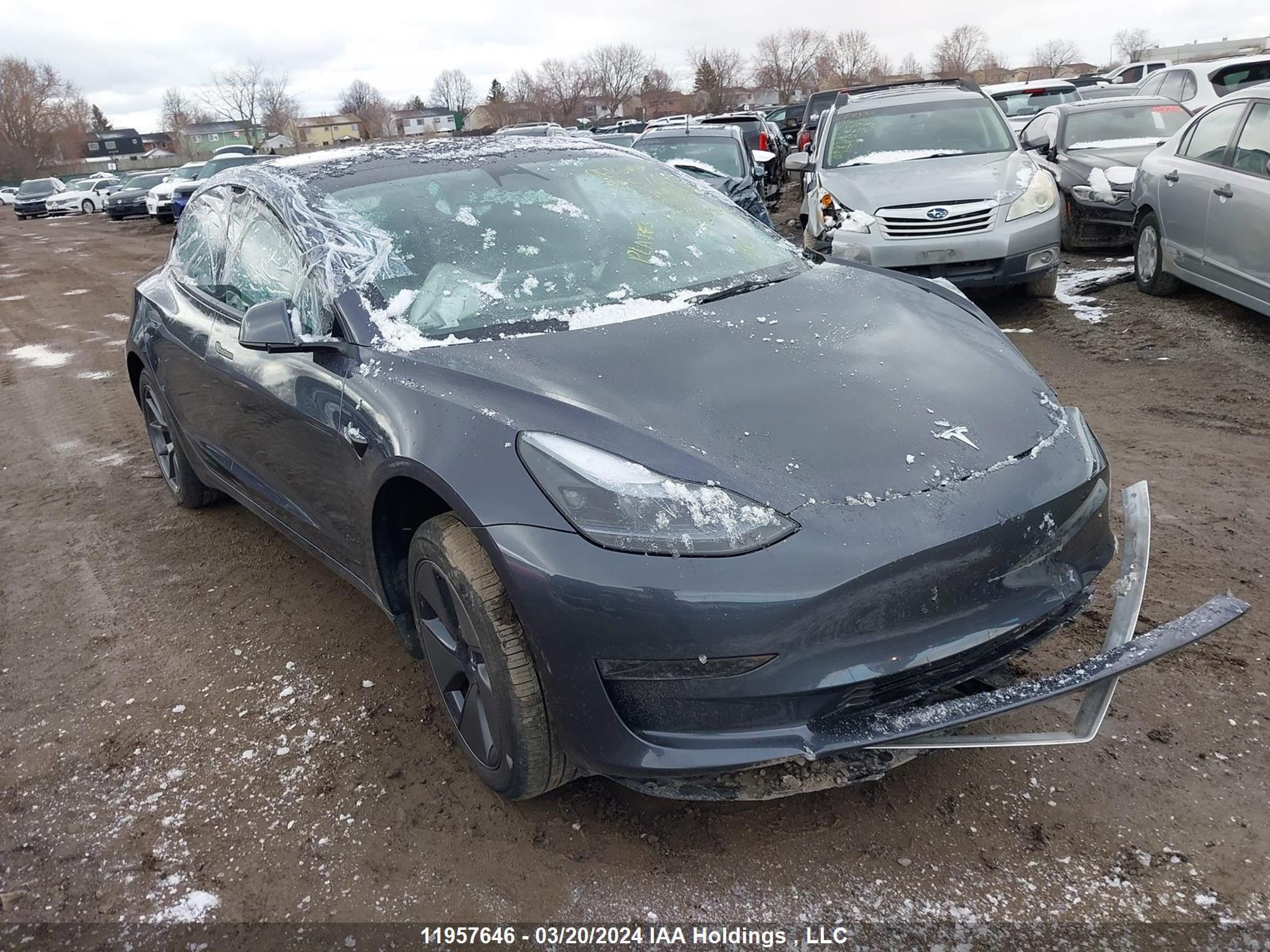 TESLA MODEL 3 2023 lrw3e1fa1pc900335