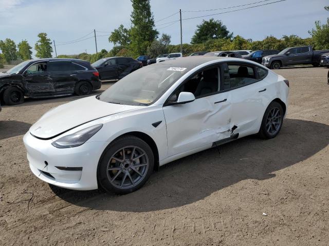 TESLA MODEL 3 2023 lrw3e1fa2pc872321