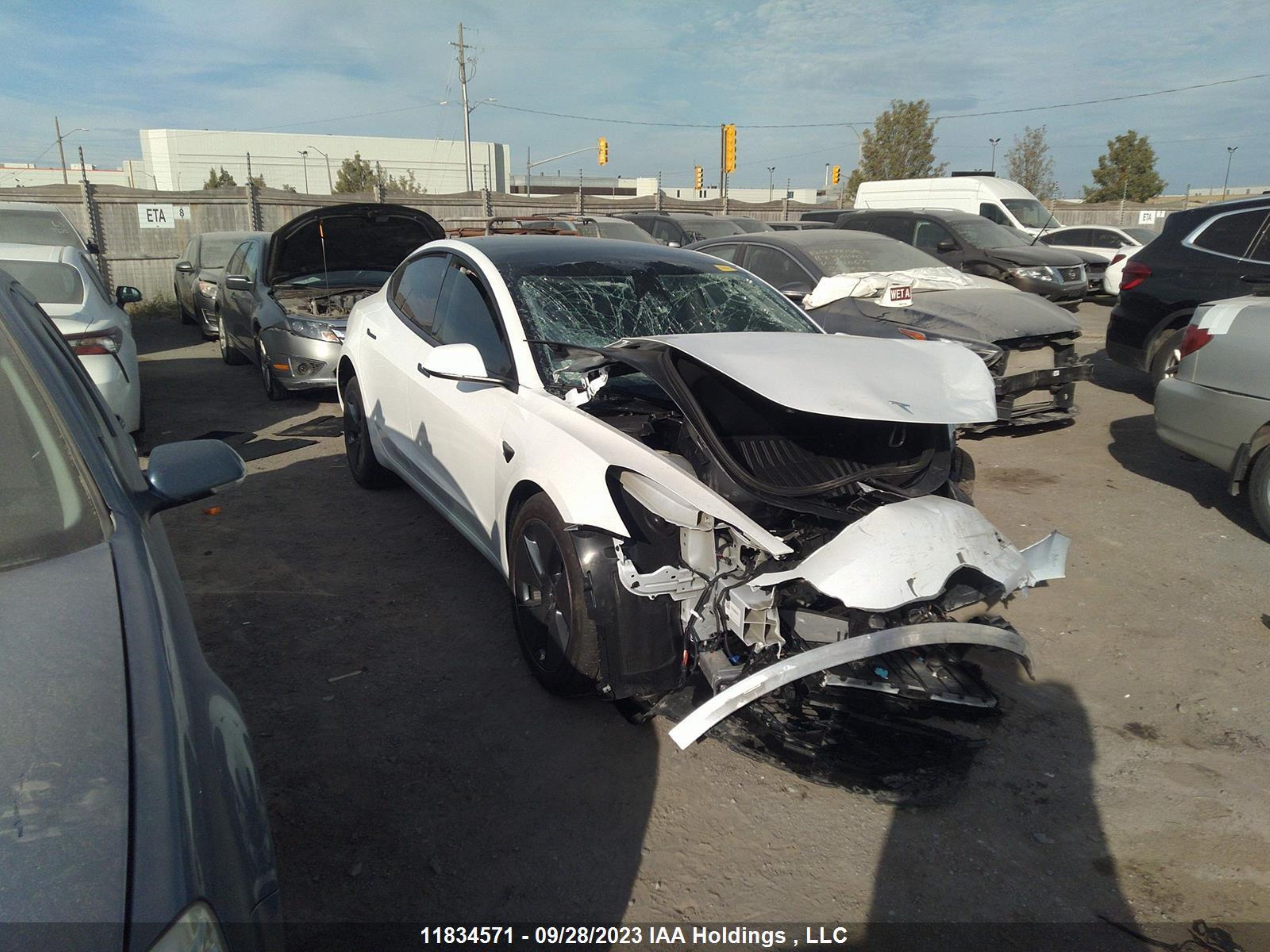 TESLA MODEL 3 2023 lrw3e1fa3pc891752