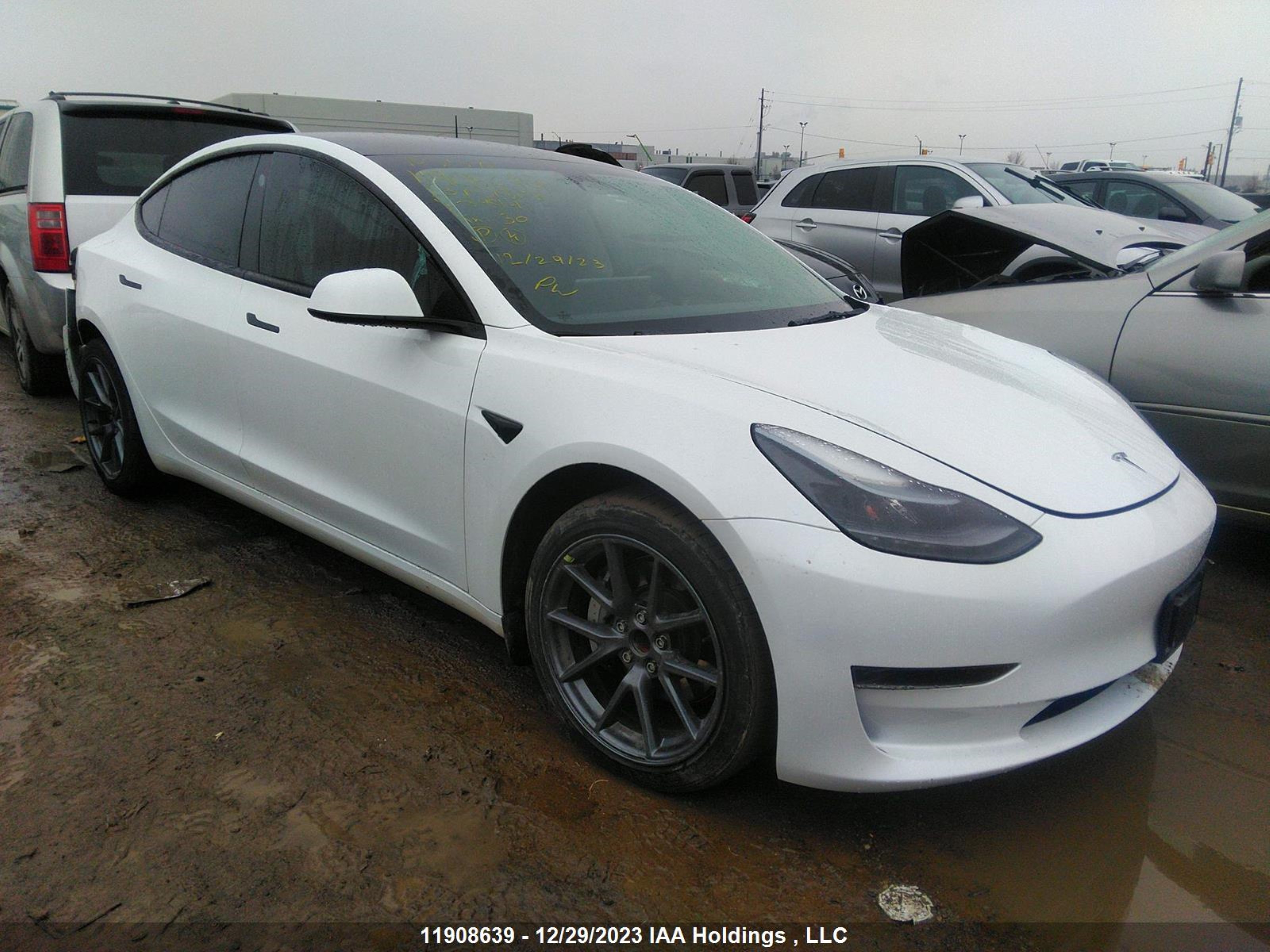 TESLA MODEL 3 2023 lrw3e1fa8pc845141