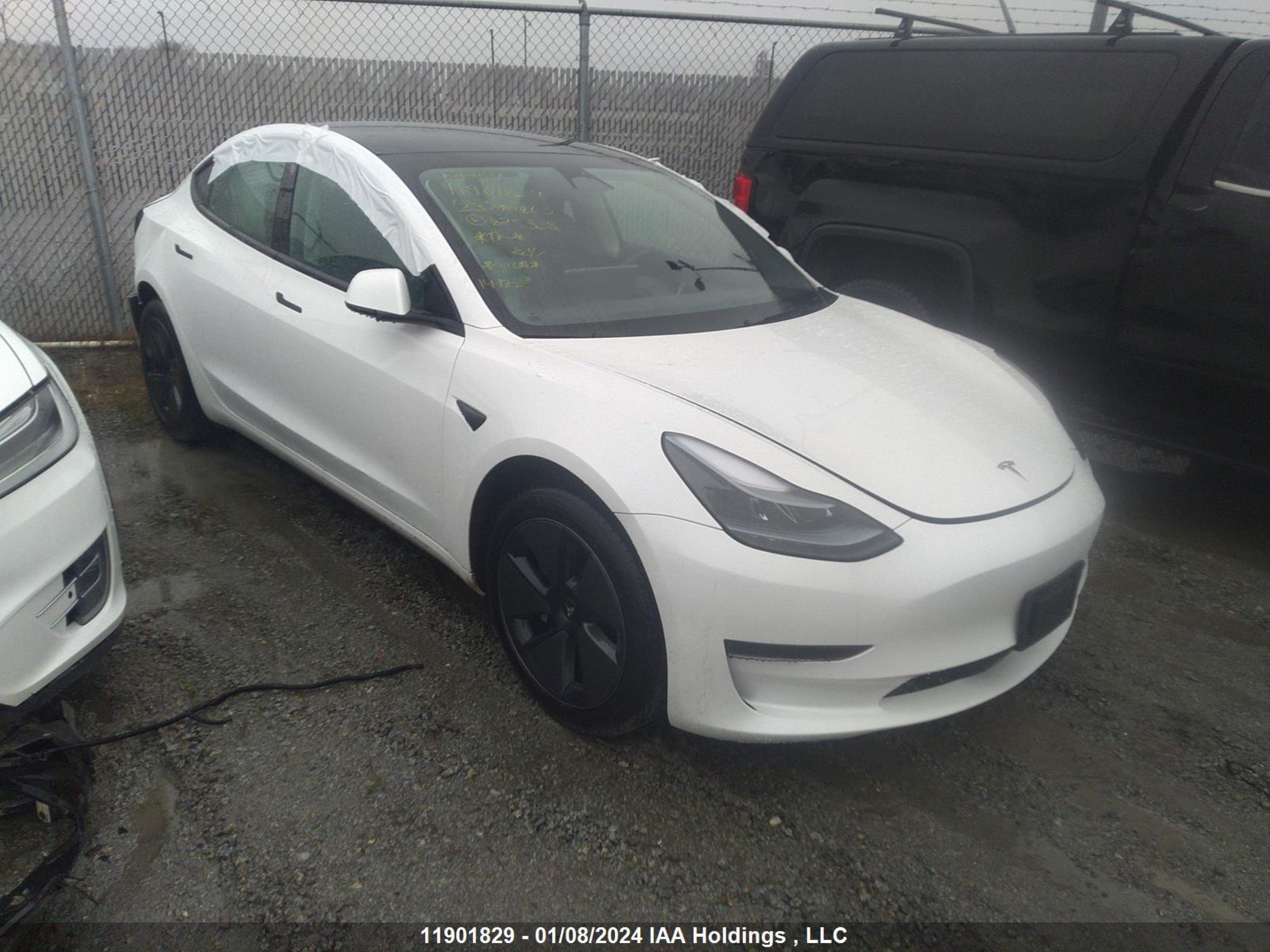 TESLA MODEL 3 2023 lrw3e1fa9pc875328