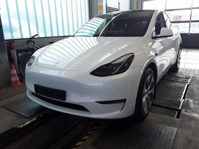 TESLA MODEL Y 2022 lrwygcek0nc264025