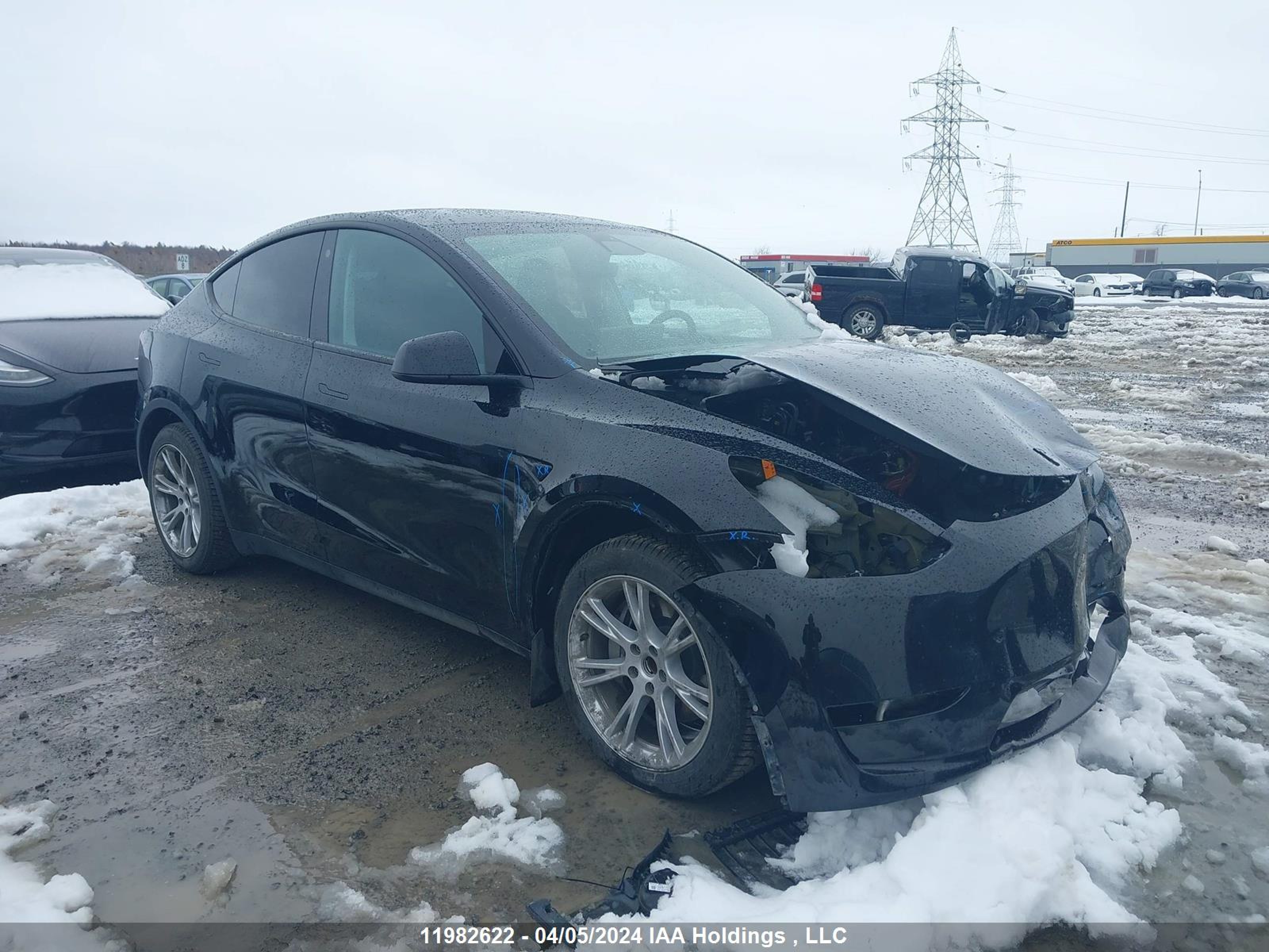 TESLA MODEL Y 2023 lrwygdfd0pc902346