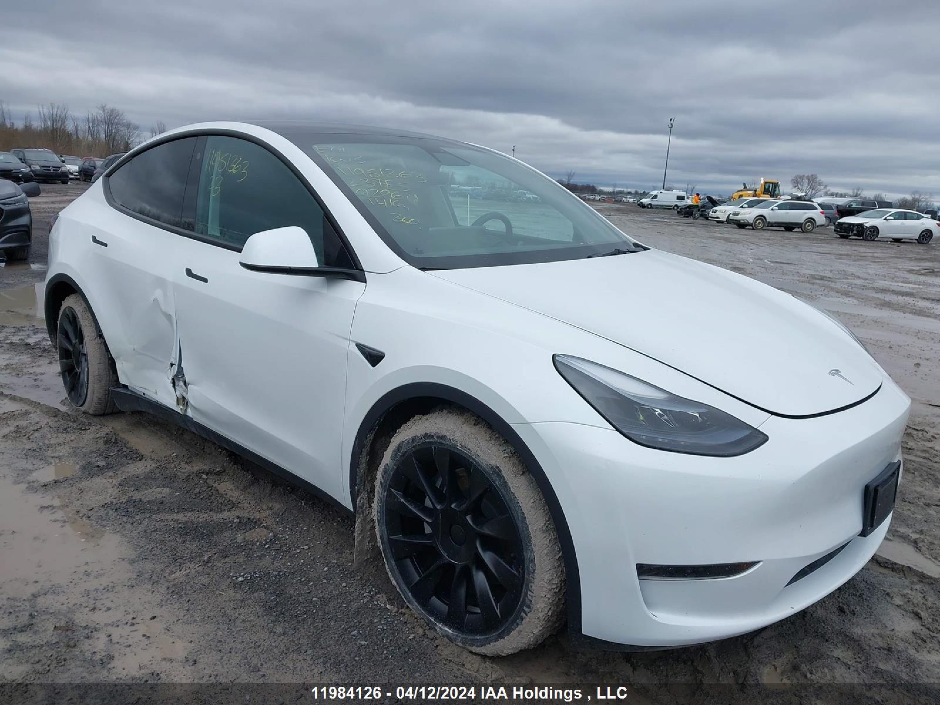 TESLA MODEL Y 2023 lrwygdfd7pc929611