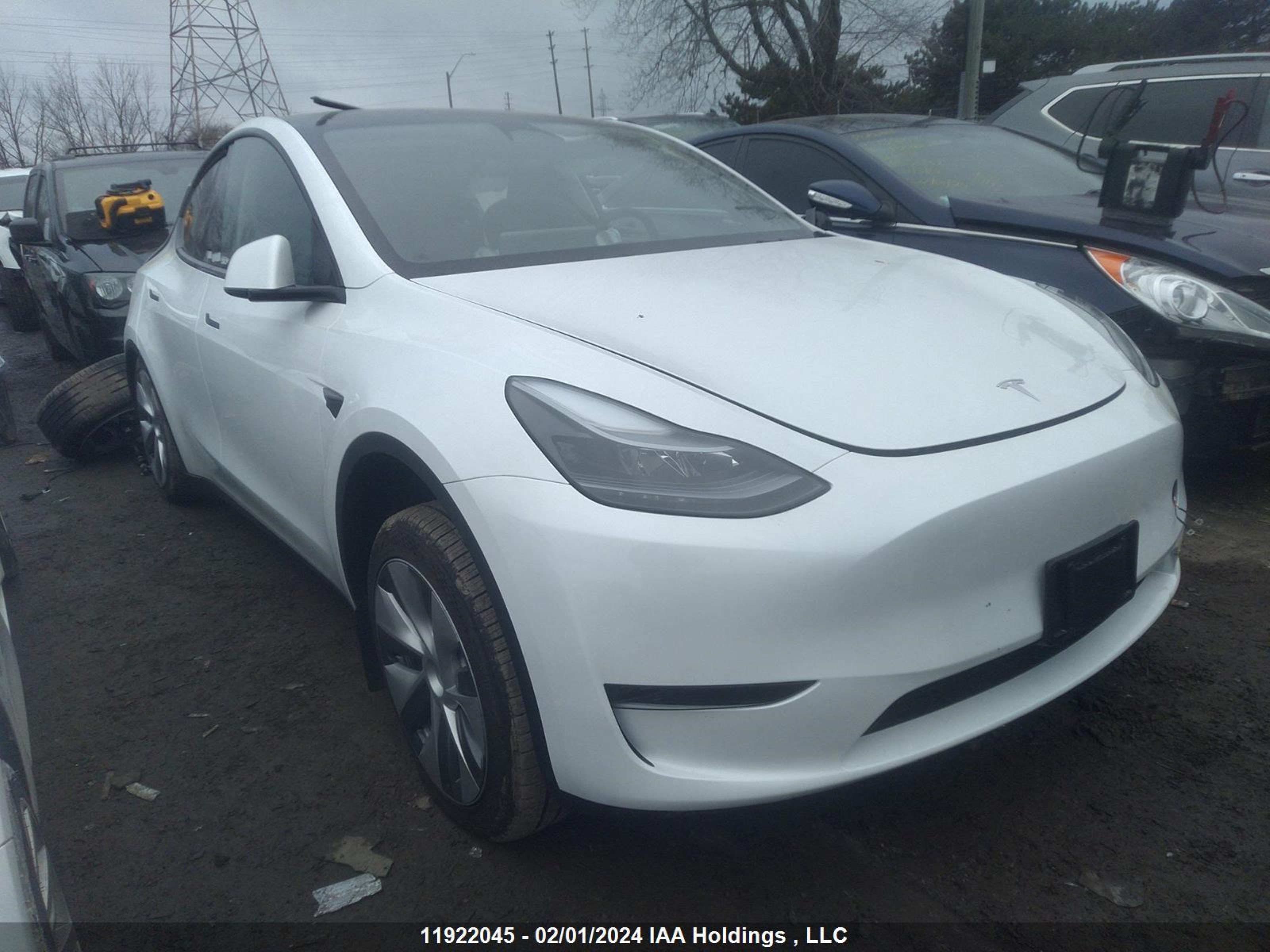 TESLA MODEL Y 2023 lrwygdfd8pc163792