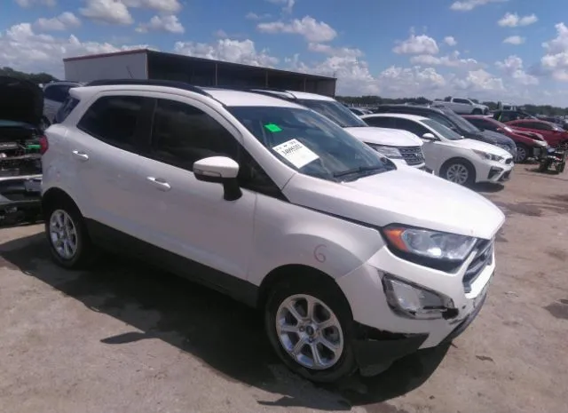 FORD ECOSPORT 2019 maj3s2ge2kc262582