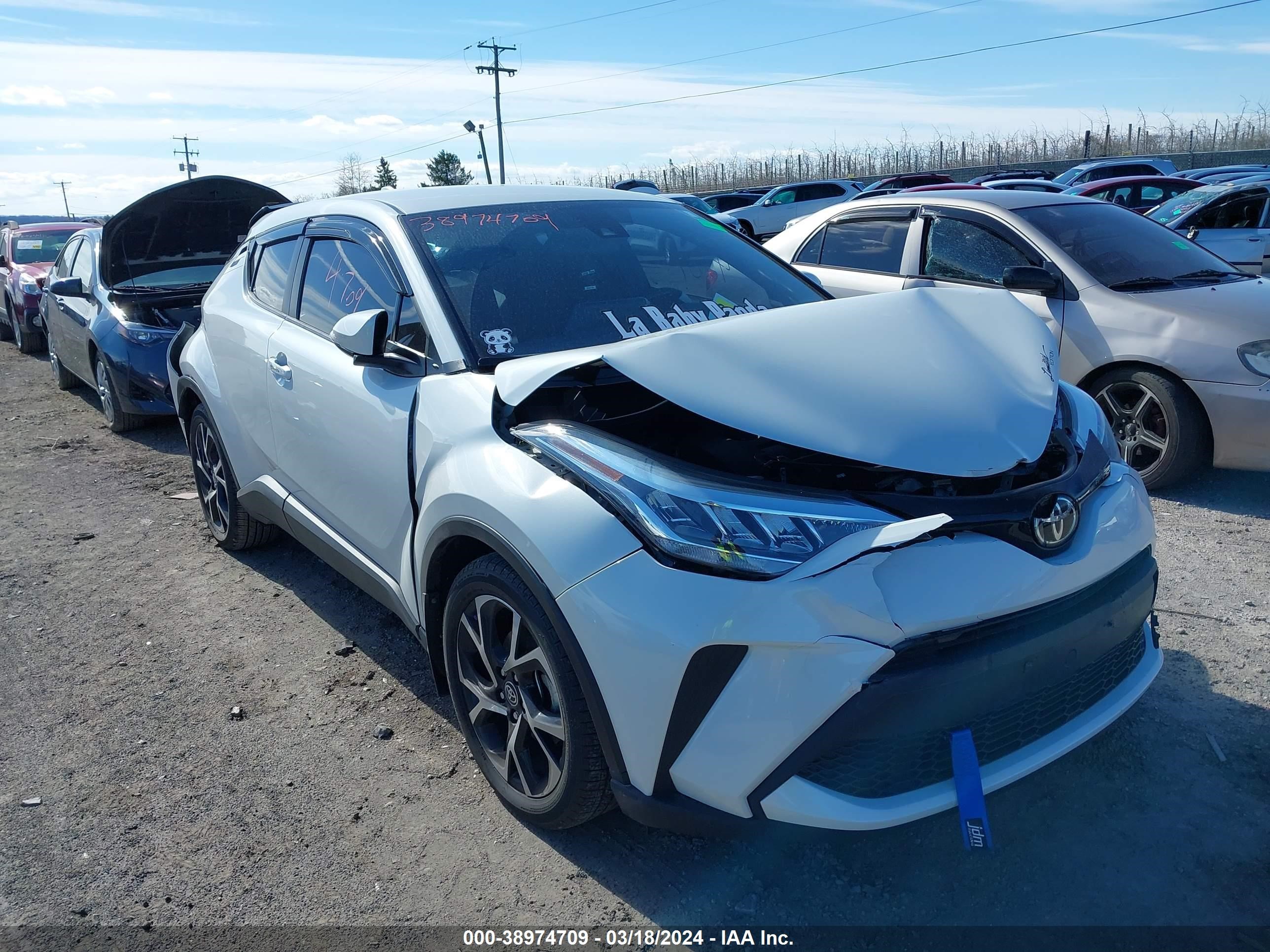 TOYOTA C-HR 2020 nmtkhmbx0lr116558