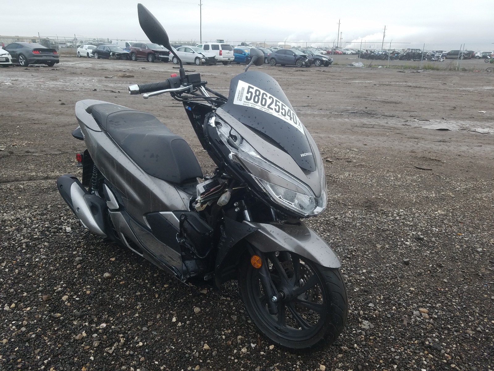 HONDA WW150 2019 rlhkf3009ky001533