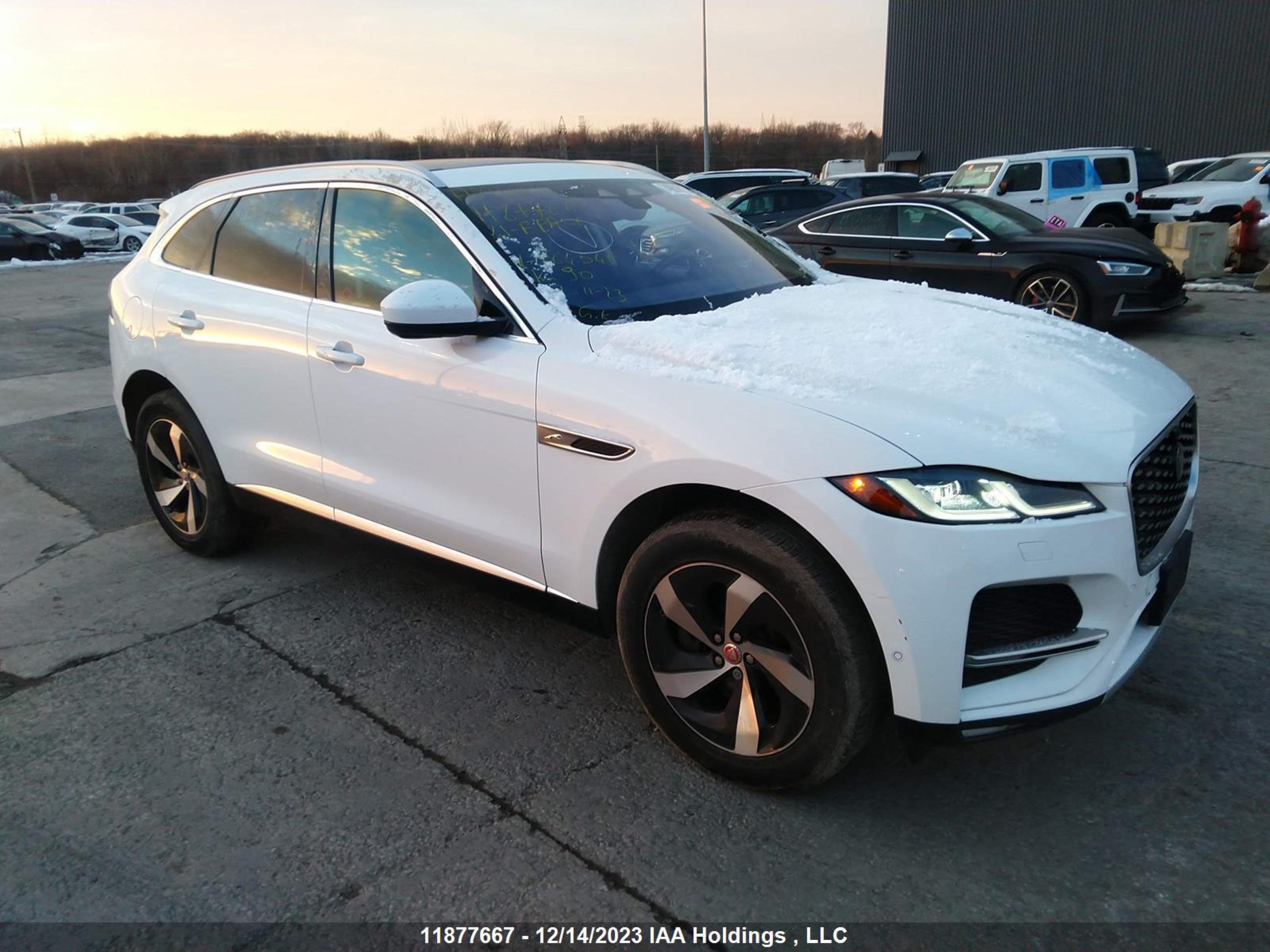 JAGUAR F-PACE 2021 sadcj2ex8ma664546