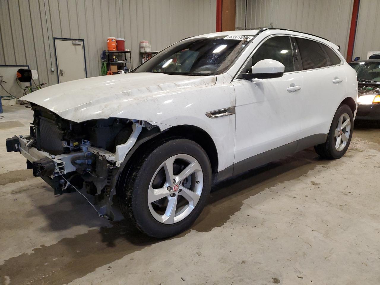 JAGUAR F-PACE 2019 sadcj2fn5ka600443