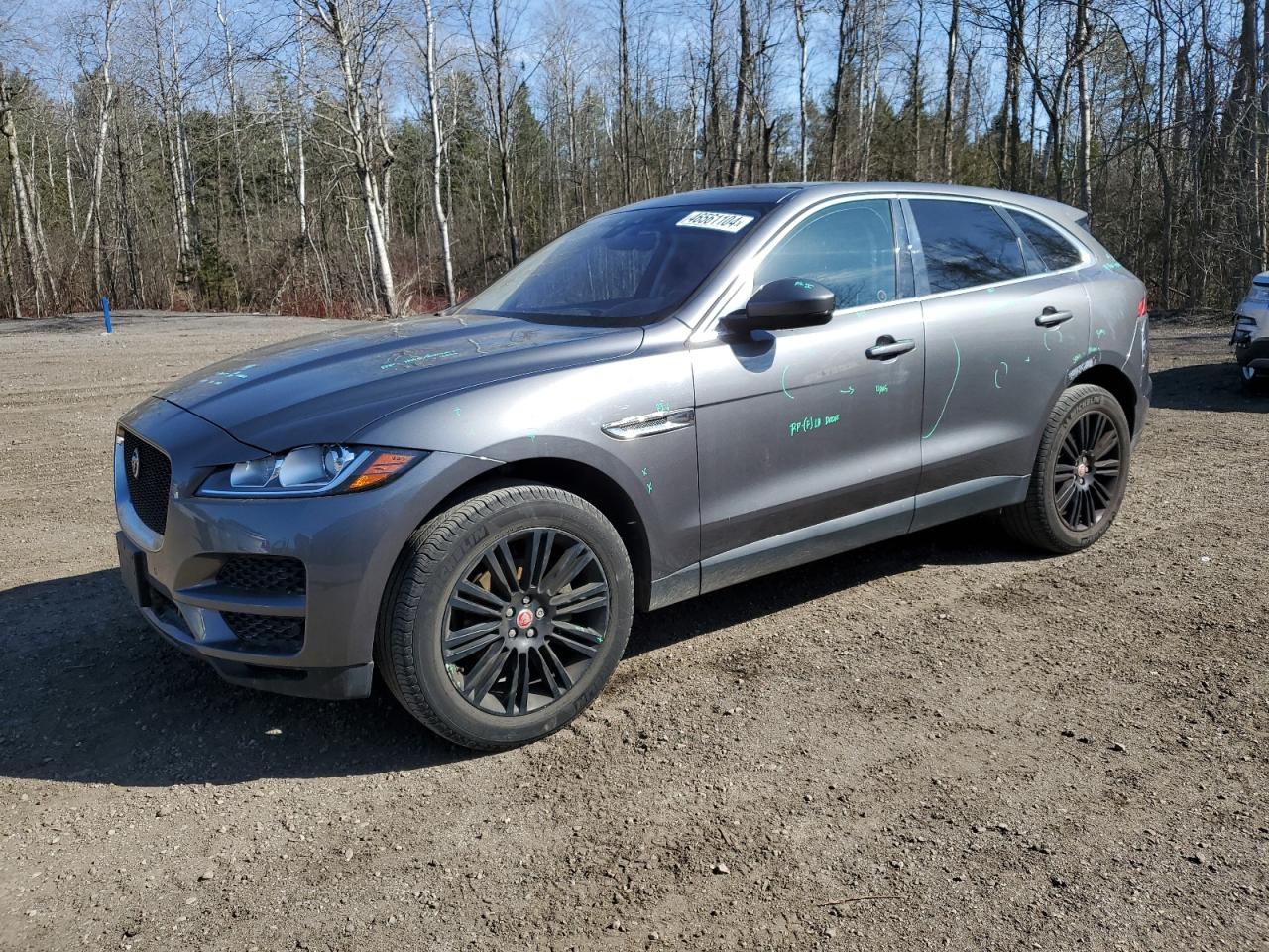 JAGUAR F-PACE 2019 sadcj2fx1ka399027