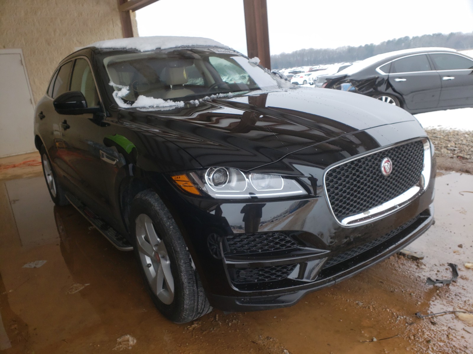 JAGUAR NULL 2019 sadcj2fx3ka391933