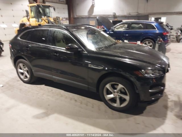 JAGUAR F-PACE 2019 sadcj2fx8ka397341