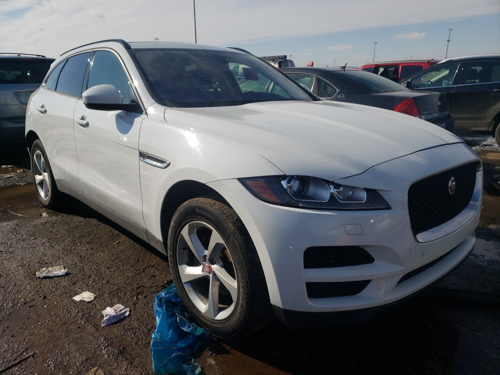 JAGUAR F-PACE PRE 2018 sadcj2fxxja264935