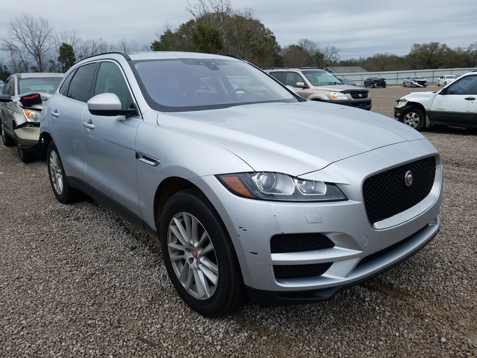 JAGUAR NULL 2018 sadck2fn1ja253737