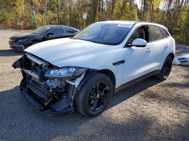 JAGUAR F-PACE PRE 2019 sadck2fx1ka392222