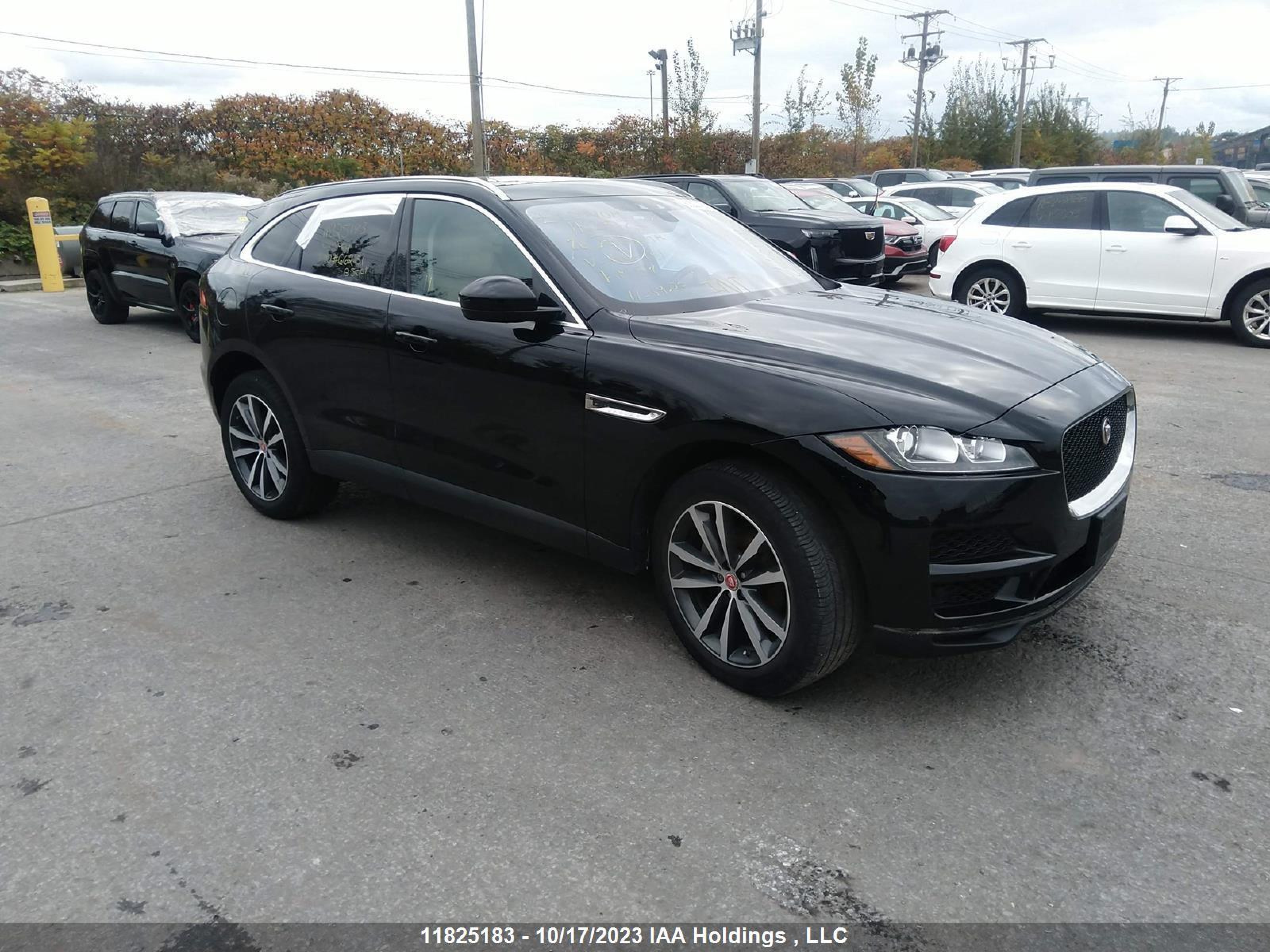 JAGUAR F-PACE 2020 sadck2fx5la662151