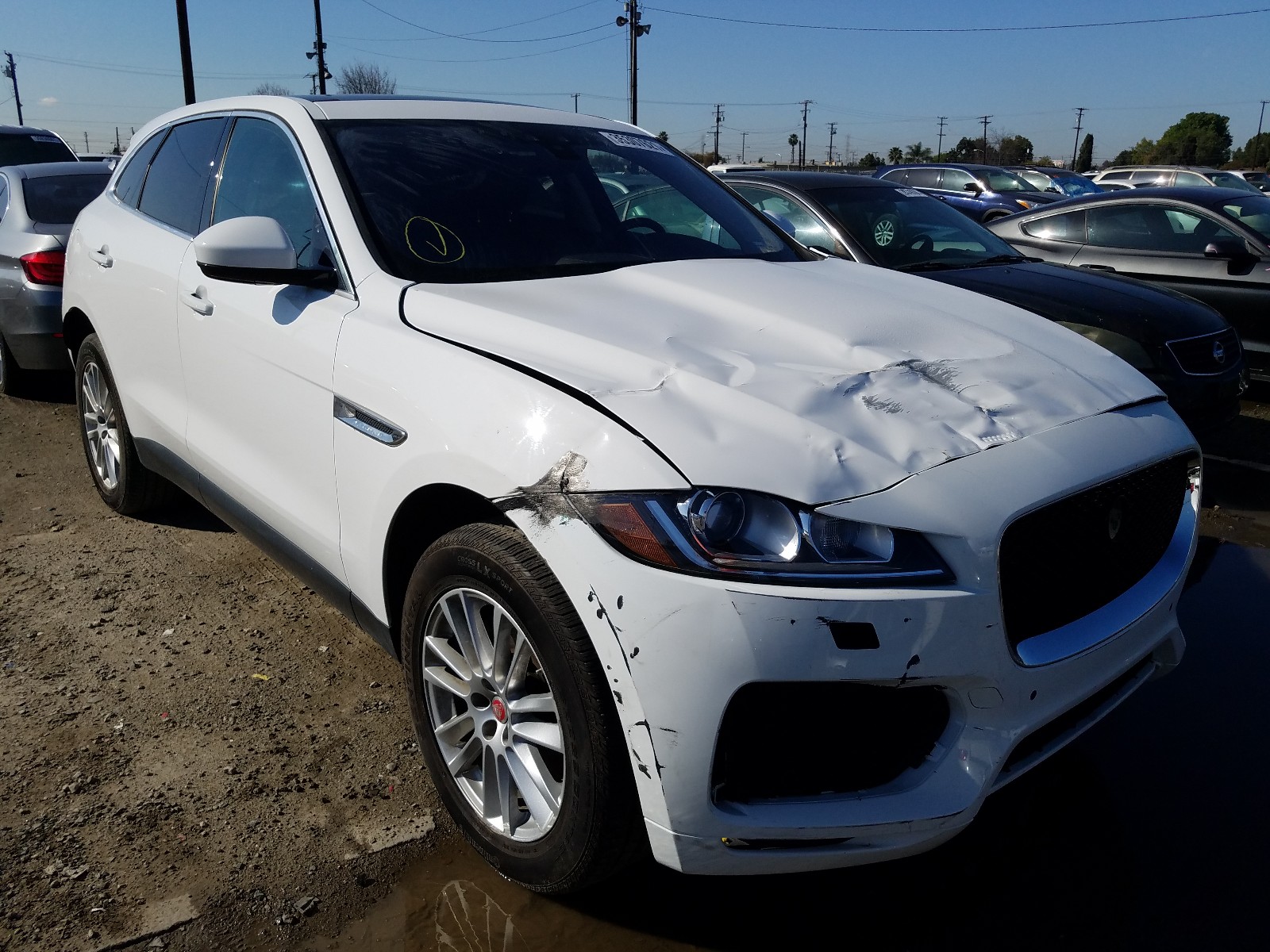 JAGUAR F-PACE PRE 2020 sadck2gx5la641654