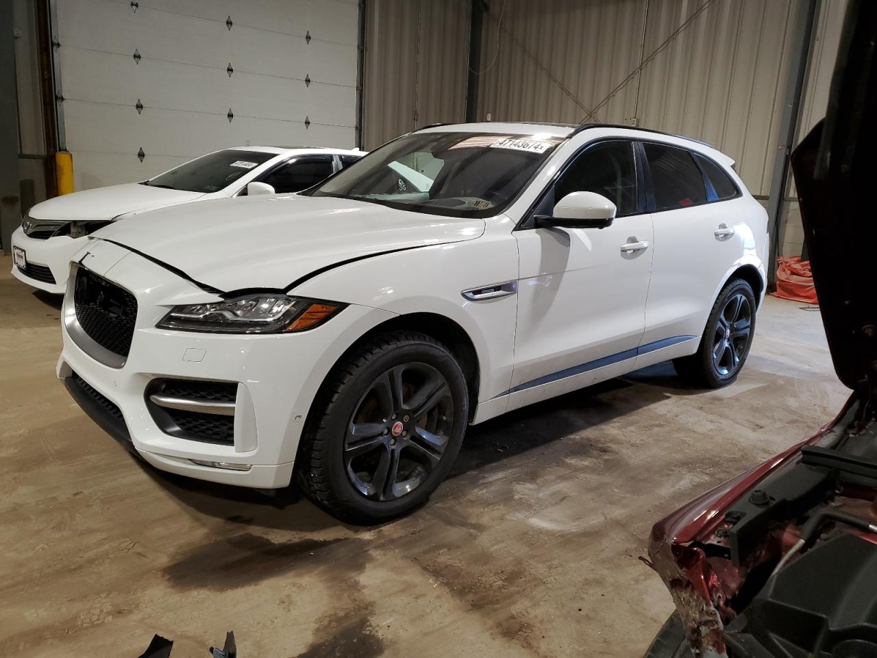 JAGUAR F-PACE 2017 sadcl2bn3ha488475