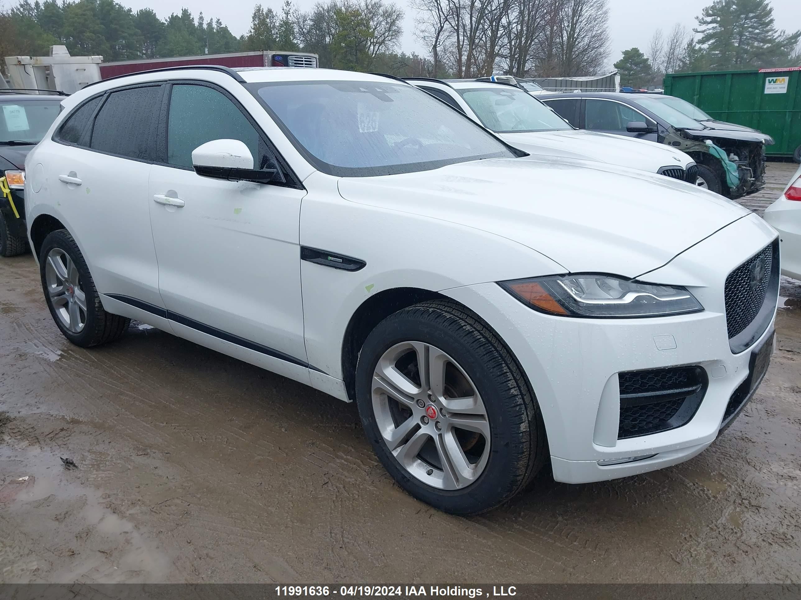 JAGUAR F-PACE 2019 sadcl2gx9ka390083