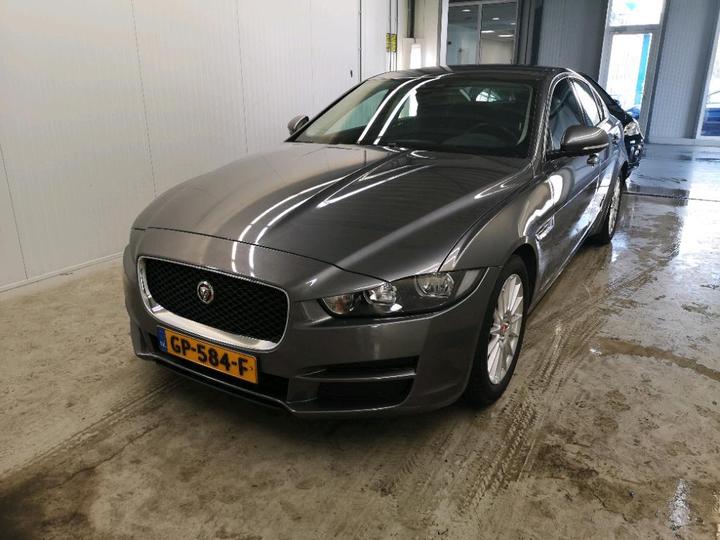 JAGUAR XE 2015 sajab4dn9ga907282