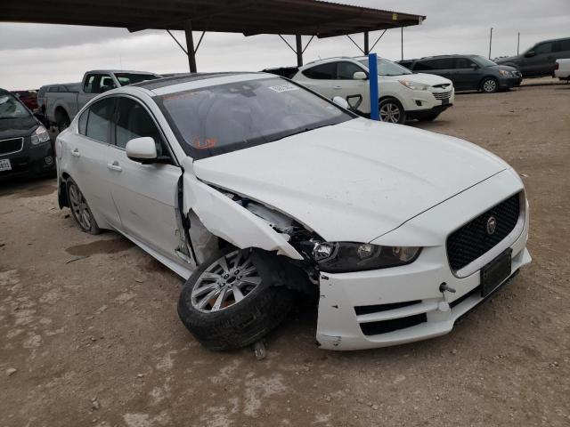 JAGUAR XE 2019 sajar4fx1kcp49317