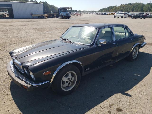 JAGUAR XJ6 1982 sajav1242cc344042