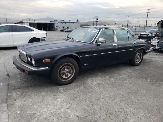 JAGUAR XJ6 1981 sajav1245bc321028