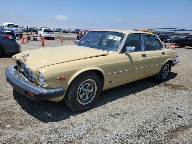 JAGUAR XJ6 1985 sajav1341fc391081