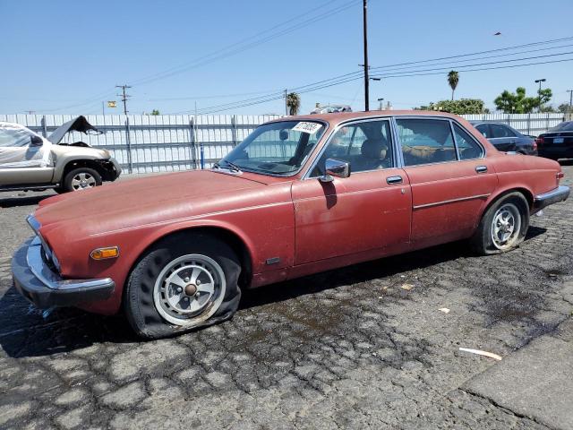 JAGUAR XJ6 1982 sajav1342cc334996