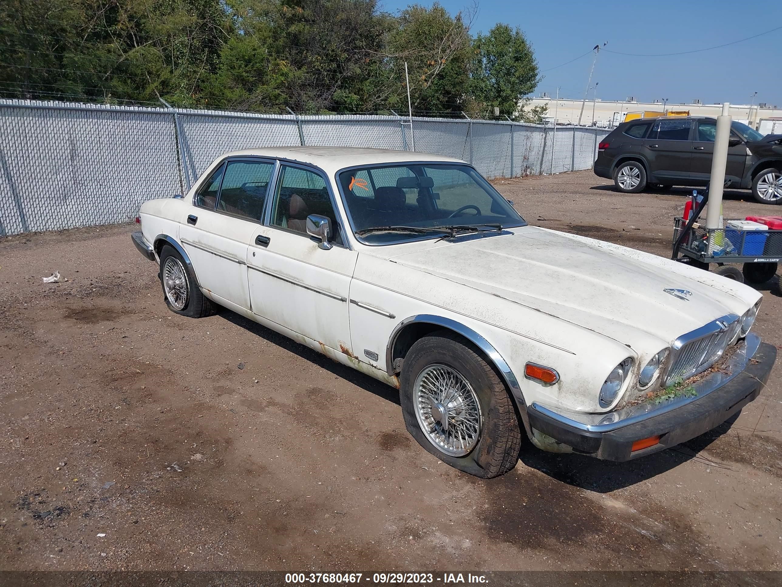 JAGUAR XJ 1987 sajav1342hc468642