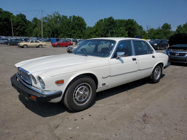 JAGUAR XJ6 1985 sajav1344fc421240