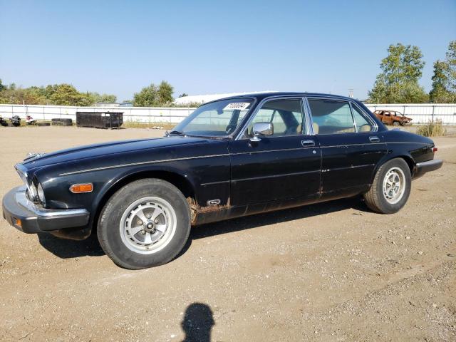 JAGUAR XJ6 1985 sajav1349fc420407