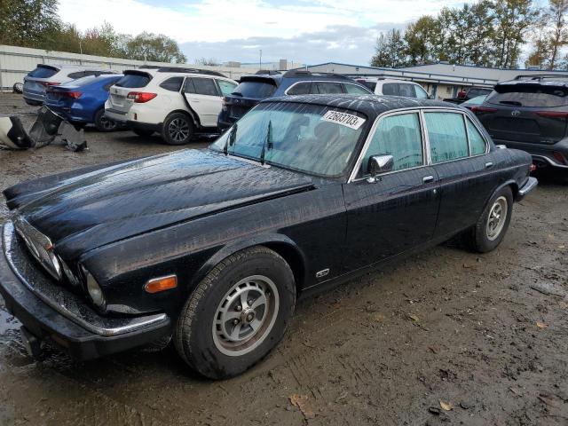 JAGUAR XJ6 1984 sajav134xec379218