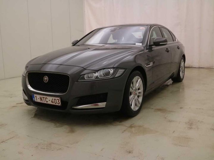 JAGUAR XF 2016 sajbb4bn8gcy23417