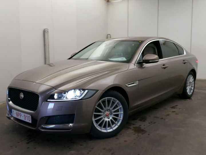 JAGUAR XF 2016 sajbb4dn1gcy21344