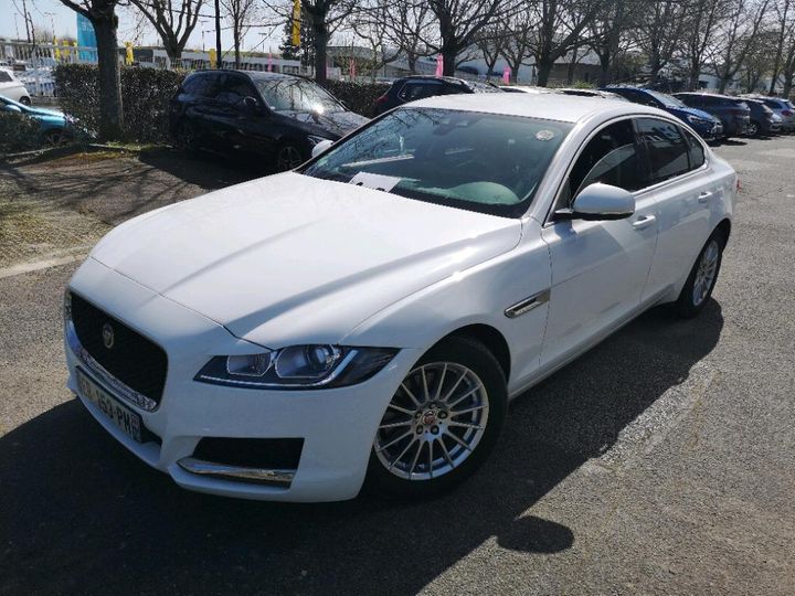 JAGUAR XF 2016 sajbb4dn3hcy25588