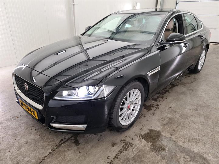 JAGUAR XF 2016 sajbb4dn5hcy30243