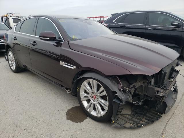 JAGUAR XF 2016 sajbd4bv3hcy46549