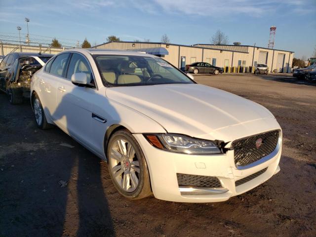 JAGUAR XF PREMIUM 2016 sajbd4bv7gcy11687