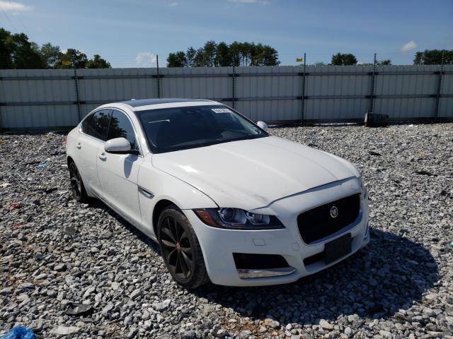 JAGUAR XF PREMIUM 2019 sajbd4fx2kcy79383