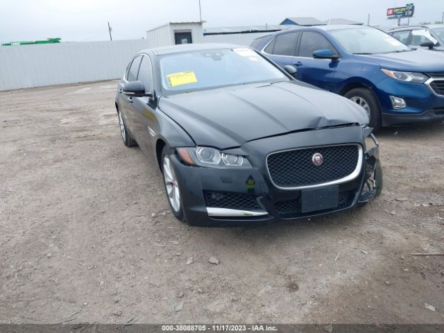 JAGUAR XF 2018 sajbd4fx8jcy68435