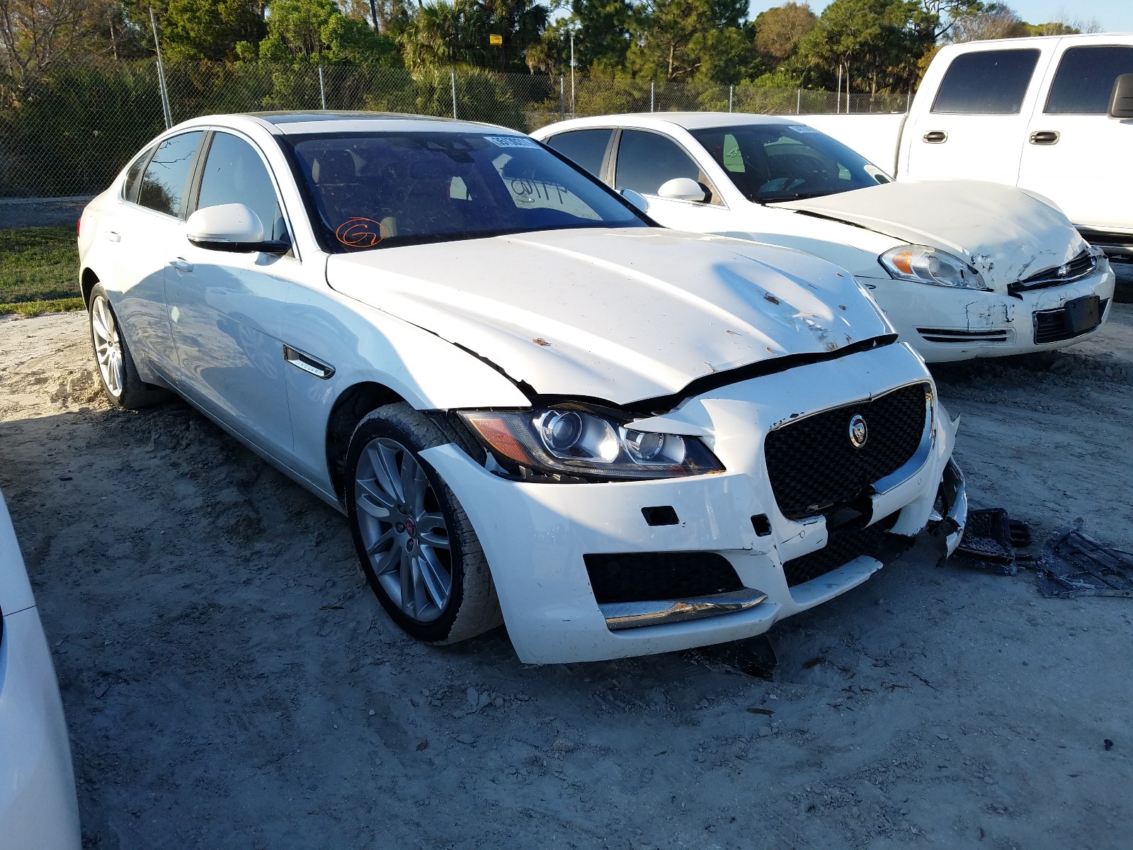 JAGUAR XF PRESTIG 2016 sajbe4bv1gcy13965