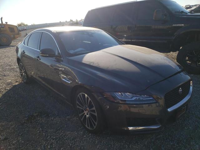 JAGUAR XF PRESTIG 2017 sajbe4bv2hcy33787