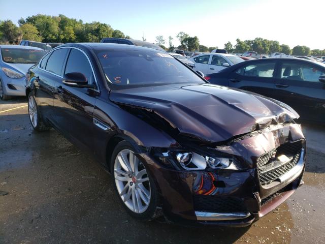 JAGUAR XF PRESTIG 2016 sajbe4bv4gcy09828